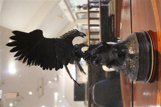 Large Japanese bronze model of an eagle, 19th century restorations(-)